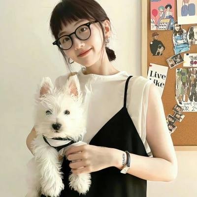 玫瑰骑士